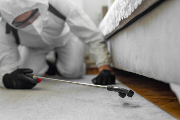 Professional Bed Bug Control technician working in Maypearl, TX